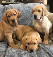 processed/4bb3015a-f3dc-497b-97f9-1dc8ec44362e/facility/c6ca5229-4957-42f5-91e6-31265625d69a