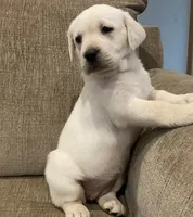 processed/4bb3015a-f3dc-497b-97f9-1dc8ec44362e/listing/ca1f321a-0de7-4608-be68-e0cac1318470/21e8865a-6069-4819-b3f5-597f29cbbef7