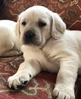 processed/4bb3015a-f3dc-497b-97f9-1dc8ec44362e/listing/ca1f321a-0de7-4608-be68-e0cac1318470/914a4ff8-ca43-4cac-8bce-3da26297b8ab