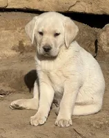 processed/4bb3015a-f3dc-497b-97f9-1dc8ec44362e/listing/cce8e5a2-470f-41c9-93f4-55b2a1a42530/861422a6-9c61-4689-8c13-9b5441efdb7c