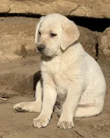 processed/4bb3015a-f3dc-497b-97f9-1dc8ec44362e/listing/cce8e5a2-470f-41c9-93f4-55b2a1a42530/ac094513-ab23-4c9c-8be1-2c4412ca2b51