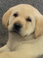 processed/4bb3015a-f3dc-497b-97f9-1dc8ec44362e/listing/ebe52544-835e-4f29-bf80-619253863cb8/2965ba3e-ce3f-440d-aec6-ba1eb2f49b07