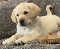 processed/4bb3015a-f3dc-497b-97f9-1dc8ec44362e/listing/ebe52544-835e-4f29-bf80-619253863cb8/e4c312bf-cd28-4d44-b318-33320aa465ae