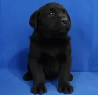 processed/4bb3015a-f3dc-497b-97f9-1dc8ec44362e/listing/f218cc34-5733-4552-9544-a424c5a8315f/15590238-403a-44d0-ab22-3601946c61d8