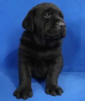 processed/4bb3015a-f3dc-497b-97f9-1dc8ec44362e/listing/f218cc34-5733-4552-9544-a424c5a8315f/427c7a33-1de1-454e-91ef-b6ccfa29cc76