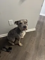 processed/4bc3fc0f-7fc1-4c5a-8b9f-b30e82eb93f3/listing/5510314d-7b69-4f18-bbcd-dc2beb26307b/0cda3553-9853-4ff8-951c-366b36fed7e4