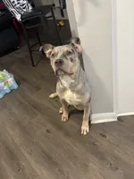 processed/4bc3fc0f-7fc1-4c5a-8b9f-b30e82eb93f3/listing/5510314d-7b69-4f18-bbcd-dc2beb26307b/bb8120c7-fe54-4da0-8513-268d43fcc5cc