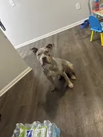 processed/4bc3fc0f-7fc1-4c5a-8b9f-b30e82eb93f3/listing/5510314d-7b69-4f18-bbcd-dc2beb26307b/ea5dced8-5153-4379-98f4-8a81304bc972