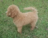 processed/4bc68833-847d-496d-9dcf-9735294e8c5a/listing/dab54502-50c9-43b4-b1dd-1ce423e182e3/2deecf5c-c192-4453-8b73-c3d402eb7b0c