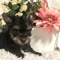 processed/4bc6a44f-eb0e-4fd3-aedc-cb16a804de35/facility/140040b0-05ec-4cb4-9979-8e92df6fd7a4