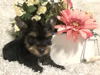 processed/4bc6a44f-eb0e-4fd3-aedc-cb16a804de35/facility/140040b0-05ec-4cb4-9979-8e92df6fd7a4