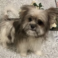 processed/4bc6a44f-eb0e-4fd3-aedc-cb16a804de35/facility/26647eb0-5d6e-4f0c-a45d-e4f77fd66d0f