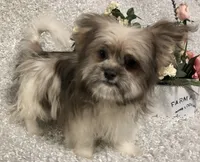 processed/4bc6a44f-eb0e-4fd3-aedc-cb16a804de35/facility/26647eb0-5d6e-4f0c-a45d-e4f77fd66d0f