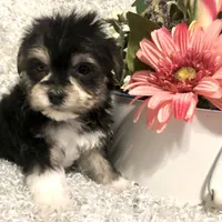 processed/4bc6a44f-eb0e-4fd3-aedc-cb16a804de35/facility/331c9bb1-dab0-4d3e-9b99-30066b23ff7f