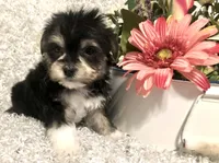 processed/4bc6a44f-eb0e-4fd3-aedc-cb16a804de35/facility/331c9bb1-dab0-4d3e-9b99-30066b23ff7f