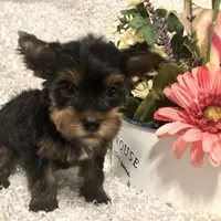 processed/4bc6a44f-eb0e-4fd3-aedc-cb16a804de35/facility/427e47e8-f0aa-449f-9b25-2cb3002da4f9