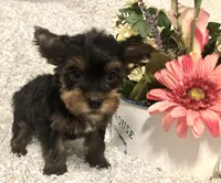 processed/4bc6a44f-eb0e-4fd3-aedc-cb16a804de35/facility/427e47e8-f0aa-449f-9b25-2cb3002da4f9