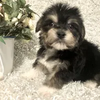 processed/4bc6a44f-eb0e-4fd3-aedc-cb16a804de35/facility/870995c5-8ee4-4e8f-aab4-c8ab531ed027