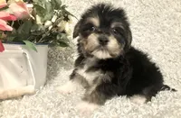 processed/4bc6a44f-eb0e-4fd3-aedc-cb16a804de35/facility/870995c5-8ee4-4e8f-aab4-c8ab531ed027