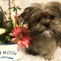 processed/4bc6a44f-eb0e-4fd3-aedc-cb16a804de35/facility/89ab287a-d53b-4c2a-84ca-51f3220ff1f6