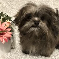 processed/4bc6a44f-eb0e-4fd3-aedc-cb16a804de35/facility/c6a84262-7c07-4258-872b-a1c0f3d795c1