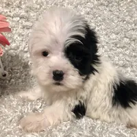 processed/4bc6a44f-eb0e-4fd3-aedc-cb16a804de35/facility/e44620d2-7e15-427a-af1e-f9a3fdbd6a77