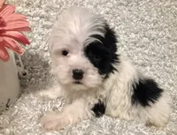 processed/4bc6a44f-eb0e-4fd3-aedc-cb16a804de35/facility/e44620d2-7e15-427a-af1e-f9a3fdbd6a77