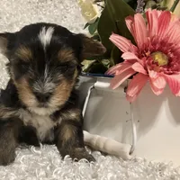 processed/4bc6a44f-eb0e-4fd3-aedc-cb16a804de35/facility/f6244321-8b53-4934-ad6a-64a9370717eb