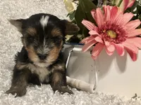 processed/4bc6a44f-eb0e-4fd3-aedc-cb16a804de35/facility/f6244321-8b53-4934-ad6a-64a9370717eb