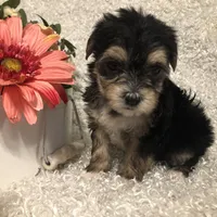 processed/4bc6a44f-eb0e-4fd3-aedc-cb16a804de35/facility/f71c54e1-5307-4acf-bb70-b7954a47925b