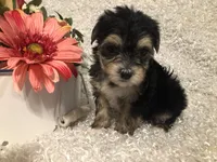 processed/4bc6a44f-eb0e-4fd3-aedc-cb16a804de35/facility/f71c54e1-5307-4acf-bb70-b7954a47925b