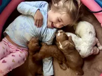 processed/4bc6a5a5-0de9-4c00-9575-8f15e3965923/facility/1b14517f-0fda-44fb-bec1-aa4d35d70b13