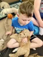 processed/4bc6a5a5-0de9-4c00-9575-8f15e3965923/facility/53055ebe-9880-42d9-9cf3-ca1832c20448