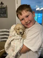 processed/4bc6a5a5-0de9-4c00-9575-8f15e3965923/facility/89af44da-6be8-4b70-bc63-aecdb7d99ec5