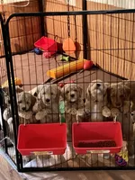 processed/4bc6a5a5-0de9-4c00-9575-8f15e3965923/facility/8ed429f0-0e18-405e-ad92-73c52db66b40