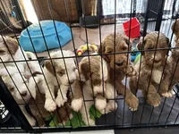 processed/4bc6a5a5-0de9-4c00-9575-8f15e3965923/facility/9378ed61-7a1d-47a3-aee6-1abef90b11d7