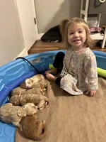 processed/4bc6a5a5-0de9-4c00-9575-8f15e3965923/facility/9976cd01-7d8e-4ba7-a178-a1742f2699af