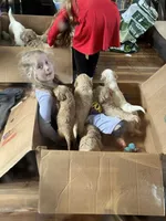 processed/4bc6a5a5-0de9-4c00-9575-8f15e3965923/facility/a26726c0-bc86-42a1-b8c1-579711196f6a