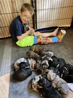 processed/4bc6a5a5-0de9-4c00-9575-8f15e3965923/facility/bdd07a22-e714-4ae9-a8b7-b594cba27272