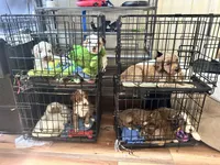 processed/4bc6a5a5-0de9-4c00-9575-8f15e3965923/facility/da4e086f-3fea-497b-99d2-2ce4179ebafc