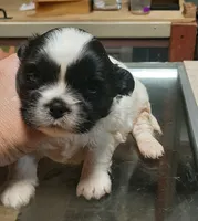 processed/4bcb8558-a1fe-49d3-9f03-2e89b59b5699/listing/08b5e9ec-9250-4c9a-b763-66875199a6cc/d6a3d8c1-9ac6-43e6-a489-fa4dcf38dfcb