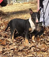 processed/4bcb8558-a1fe-49d3-9f03-2e89b59b5699/listing/185a81a6-e6fa-4629-9e33-6fa151da8c5b/504b29e1-dcb8-4cc9-88fb-6aecd600aca7