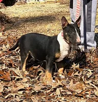 processed/4bcb8558-a1fe-49d3-9f03-2e89b59b5699/listing/185a81a6-e6fa-4629-9e33-6fa151da8c5b/65ad97b7-0393-4459-aeca-ad18bacc8822