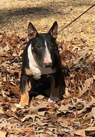 processed/4bcb8558-a1fe-49d3-9f03-2e89b59b5699/listing/185a81a6-e6fa-4629-9e33-6fa151da8c5b/6c5fed39-5a24-4965-b775-7b5d25ad7a59