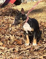 processed/4bcb8558-a1fe-49d3-9f03-2e89b59b5699/listing/185a81a6-e6fa-4629-9e33-6fa151da8c5b/e156ac57-5a2f-4836-bf52-f430f310f6e8