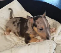 processed/4bcb8558-a1fe-49d3-9f03-2e89b59b5699/listing/1c972ab0-e027-4c3b-bd02-69828446d905/4a01384c-5645-44dc-9df6-f4f0609ef50c