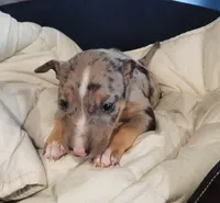 processed/4bcb8558-a1fe-49d3-9f03-2e89b59b5699/listing/1c972ab0-e027-4c3b-bd02-69828446d905/6ec9af4e-1d3b-4707-b5f2-94b65d348ed7