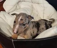 processed/4bcb8558-a1fe-49d3-9f03-2e89b59b5699/listing/1c972ab0-e027-4c3b-bd02-69828446d905/f550d744-5e3a-49a6-a7de-b4f3fec58225