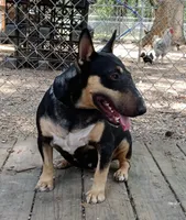 processed/4bcb8558-a1fe-49d3-9f03-2e89b59b5699/listing/3b39b884-4197-44b5-95cc-34bb272e72aa/2ff0c293-3272-4f2f-b9bb-03ab202b38b3