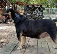 processed/4bcb8558-a1fe-49d3-9f03-2e89b59b5699/listing/3b39b884-4197-44b5-95cc-34bb272e72aa/6eb7ba25-c097-4383-b412-46854074235f